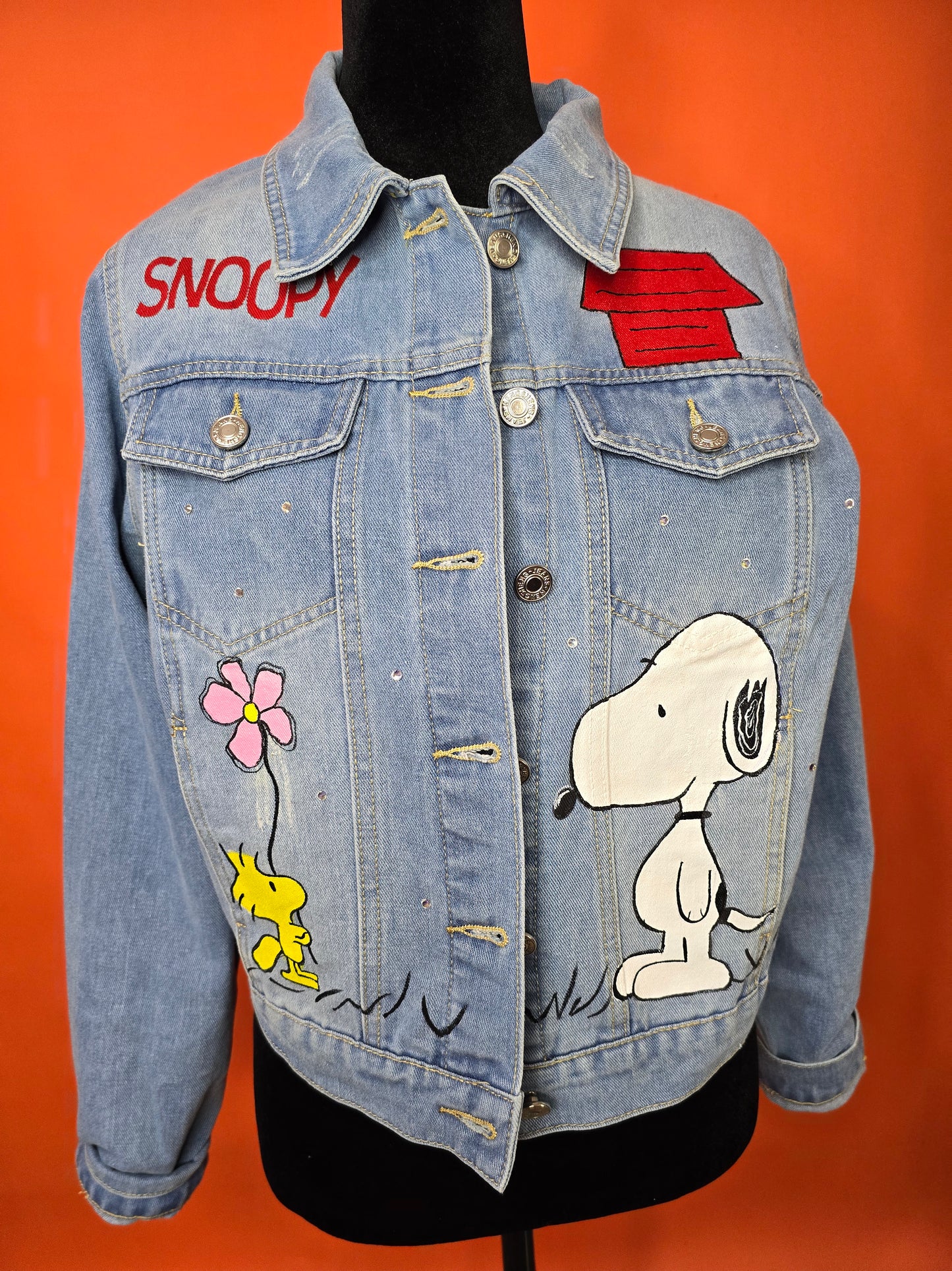Snoopy y Charlie jacket